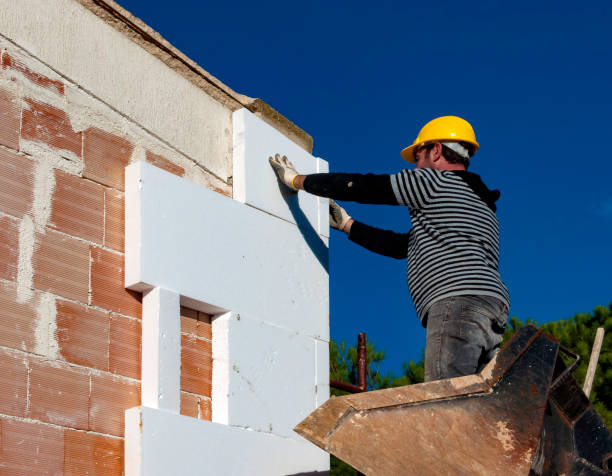Best Geographic-Specific Insulation Services in Loretto, TN