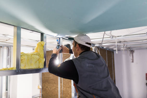 Best Cellulose Insulation in Loretto, TN