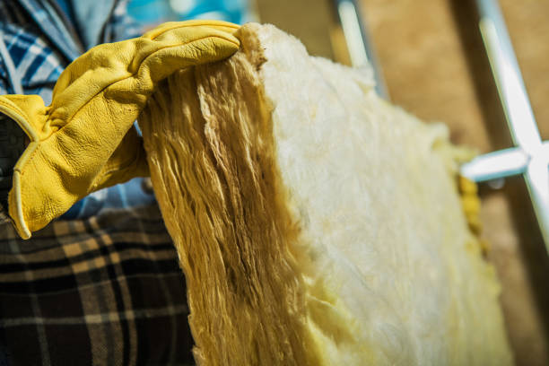 Best DIY Insulation Kits and Guidance in Loretto, TN