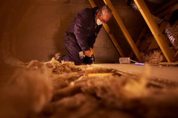 Best Eco-Friendly Insulation in Loretto, TN